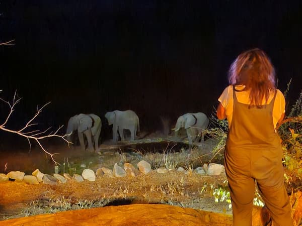 A guest watching elephants at the floodlit waterhole at night
