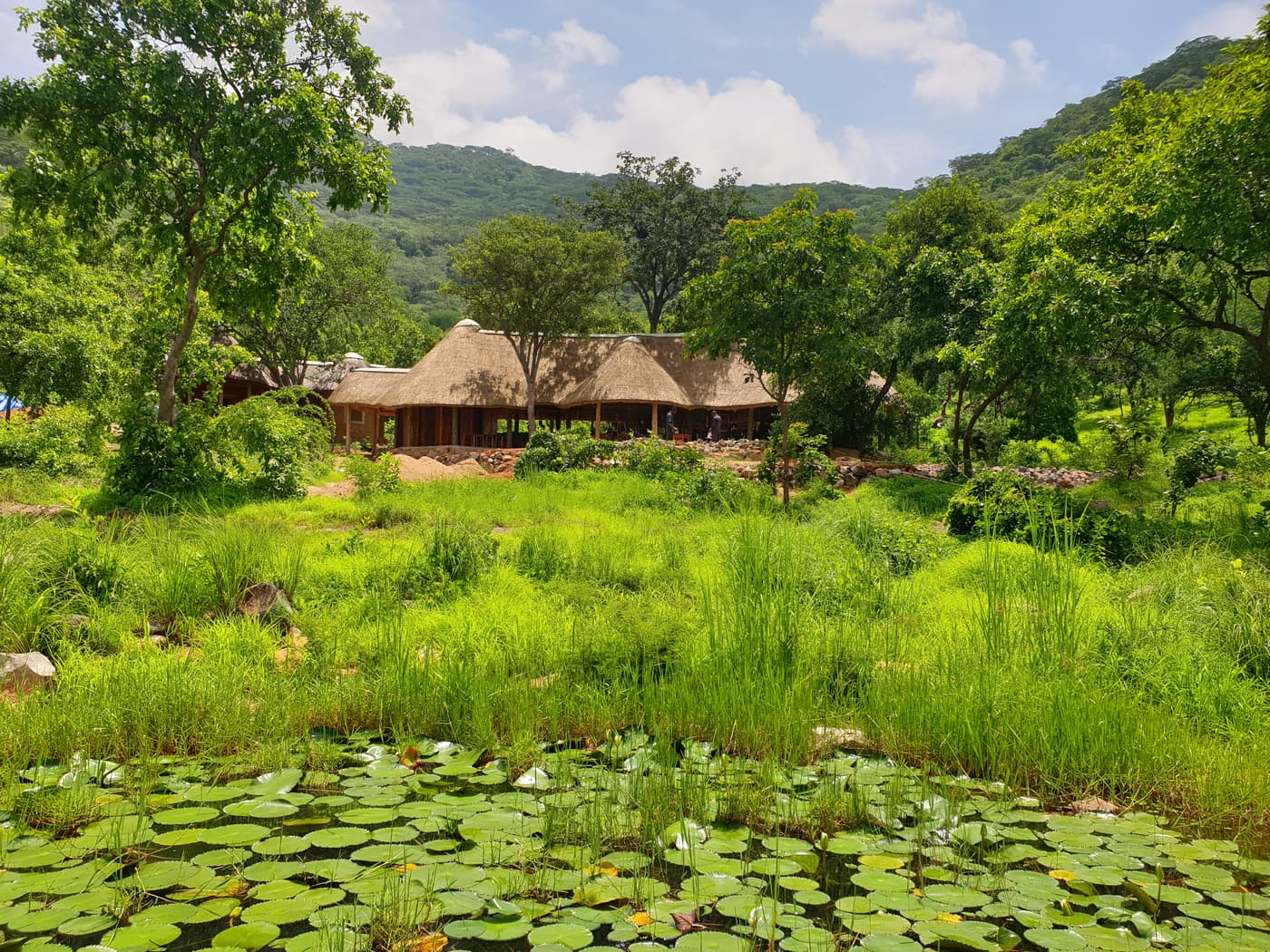 The camp's public area in the green season, above a lily pond