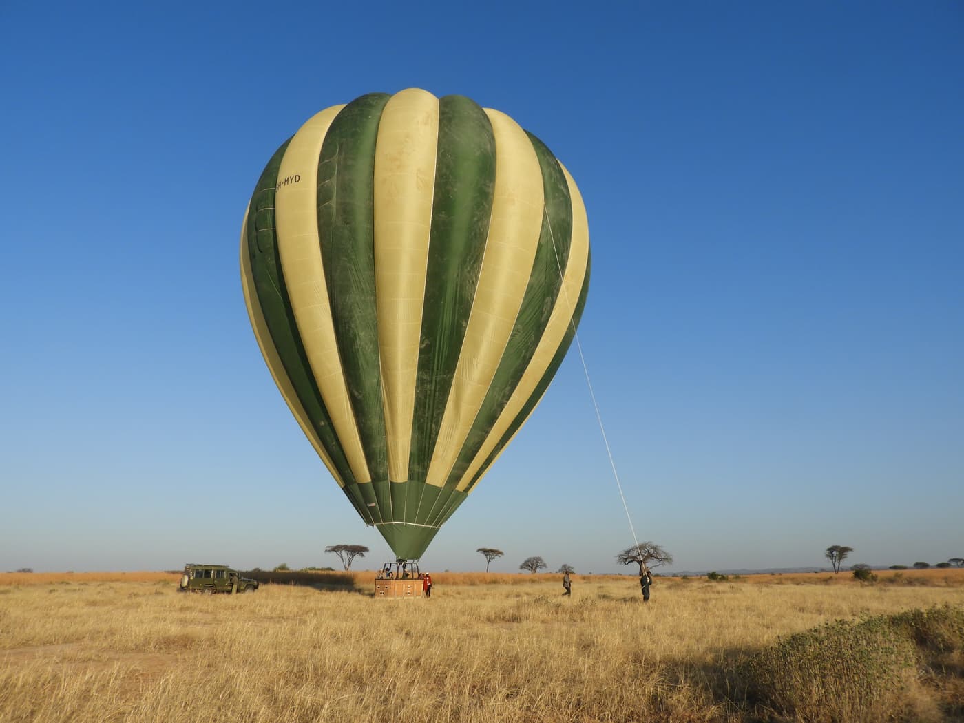 A hot air balloon on the savanna at dawn