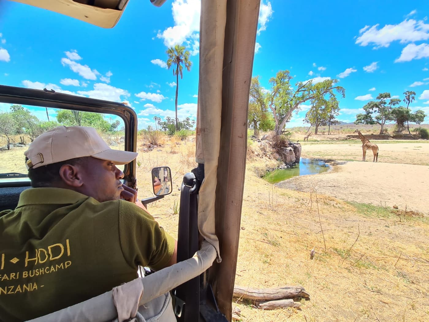 A game-drive guide watching a giraffe at the waterhole