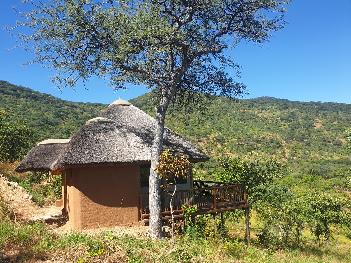 Thatched bandas set among the green hills